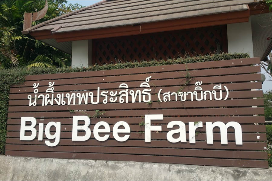 Big Bee Farm