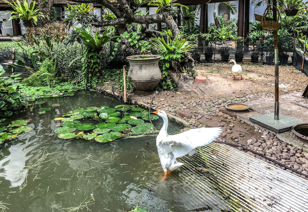 アヴァニ パタヤ リゾート（Avani Pattaya Resort）の中庭