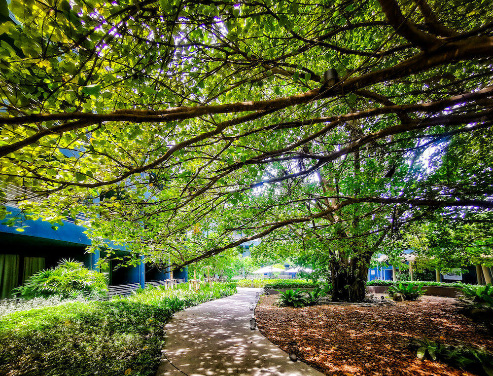 ナバーナネイチャーエスケープ(Navana Nature Escape)の中庭