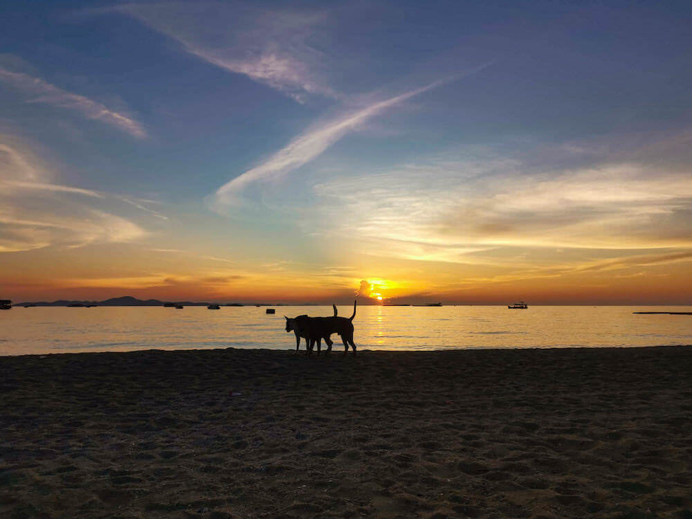 サンダレー リゾート パタヤ(Sandalay Resort Pattaya)正面のパタヤビーチの様子