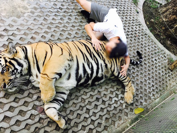 タイガーパーク・パタヤ