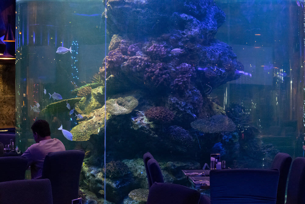 センタラ アズール ホテル パタヤ(Centara Azure Hotel Pattaya)のレストラン3